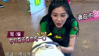 娱乐吃瓜酱笑声在线观看,欢乐无限