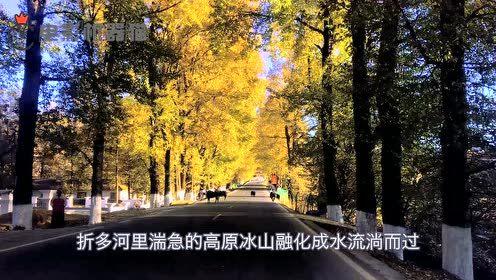 娱乐吃瓜君17,揭秘娱乐圈最新热点事件