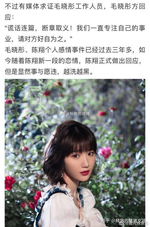 在娱乐圈吃的最大瓜,史上最大瓜事件全解析